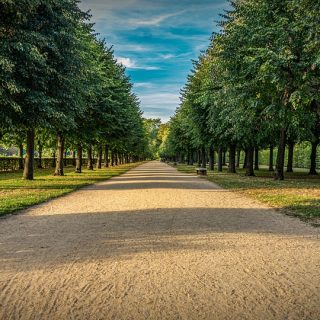 Don’t Miss Out: Top Investing Tips for a Secure Financial Future