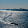 Navigating the World of Trading Economics: Tips for Success