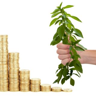 Stay Ahead of the Game: Investing Tips for Today’s Market