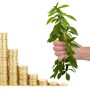 Stay Ahead of the Game: Investing Tips for Today’s Market