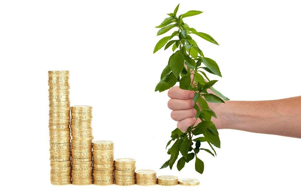 Stay Ahead of the Game: Investing Tips for Today’s Market