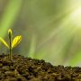 Top Investment Strategies for a Post-Pandemic Economy