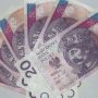 Building Wealth for the Future: A Beginner’s Guide to Investing