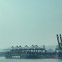 How TradingView is Revolutionizing the Way Traders Analyze and Execute Trades
