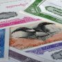 Maximize Your Productivity with These Tech Tips