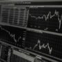 Economy 101: Easy Guide for Newbies to Get Started